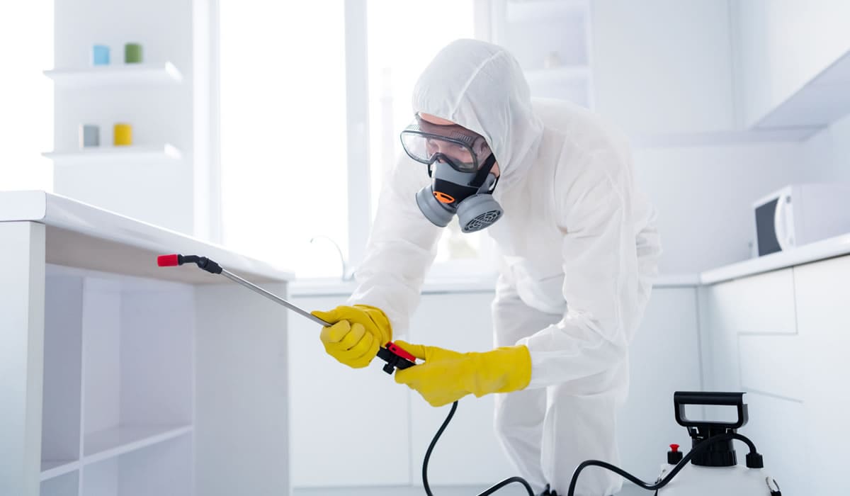 害虫駆除・害獣駆除